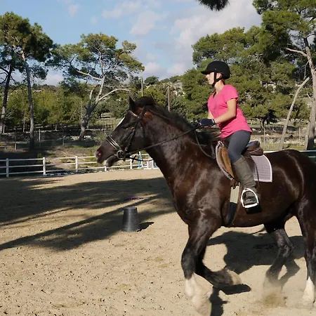 347 Meo - Fantastic Five Bedroom With Private Pool In Peaceful Location, Aphrodite Hills فيلة